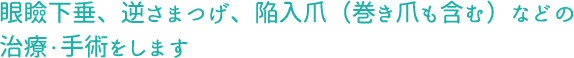 眼瞼下垂、逆さまつげ、陥入爪(巻き爪も含む)などの治療・手術をします