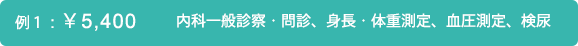 例1：￥5,400 内科一般診察・問診、身長・体重測定、血圧測定、検尿