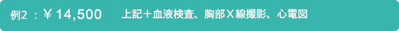 例2：￥14,500 上記＋血液検査、胸部Ｘ線撮影、心電図