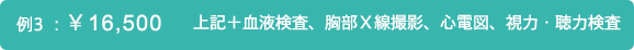 例3：￥16,500 上記＋血液検査、胸部Ｘ線撮影、心電図、視力・聴力検査