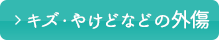 キズ・やけどなどの外傷