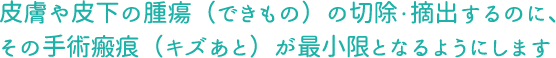 皮膚や皮下の腫瘍（できもの）の切除・摘出するのに、その手術瘢痕（キズあと）が最小限となるようにします